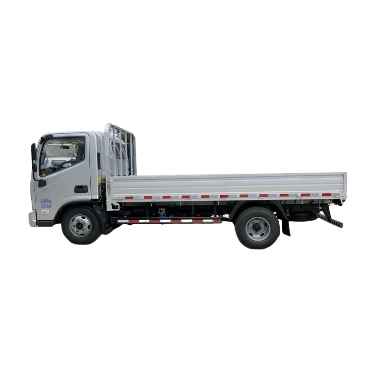 FOTON LIGHT CARGO TRUCK